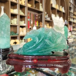 Bắp cải phong thủy