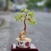 Cây đá phong thuỷ thạch anh