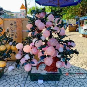 Cây đào đá phong thuỷ