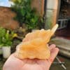 Cóc ba chân phong thuỷ