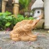 Cóc ngậm tiền thần tài