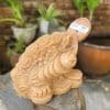 Cóc ngậm tiền thần tài