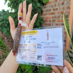 Kiểm định Dzi mã não tự nhiên