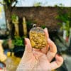 mat day chuyen dau cop2