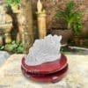 Thiềm thừ ba chân
