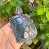 Tượng rùa phong thủy để bàn