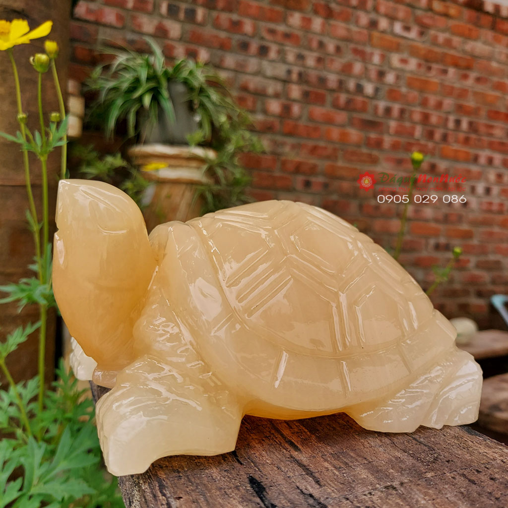 Tượng rùa đá 3 Tượng rùa đá