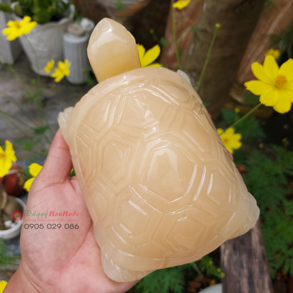 Tượng rùa đá 4 Tượng rùa đá