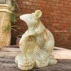 tuong tuoi ty da ngoc pakistan 15cm 3