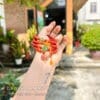 Chuỗi vòng Hoa mai 108 hạt đá mã não nam hồng 8 vong tay ma nao nam hong 4