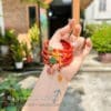 Chuỗi vòng Hoa mai 108 hạt đá mã não nam hồng 9 vong tay ma nao nam hong 5