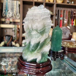 Bắp cải phong thủy