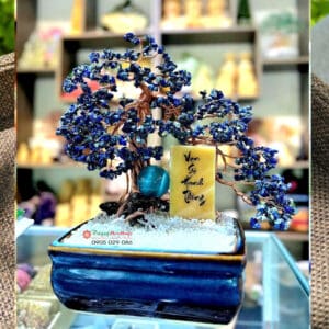 Cây đá phong thủy