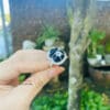 Nhẫn túi tiền may mắn 8 Nhẫn túi tiền may mắn