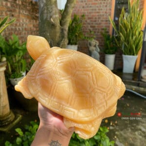 Tượng rùa đá ngọc hoàng long