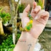 Vòng tay tài lộc phú quý