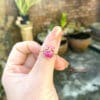 nhan ruby 5