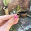 nhan ruby3