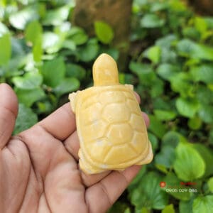 Tượng Rùa vàng 8cm