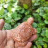 Tượng Rùa đá đỏ 8cm 6 tuong rau da do1