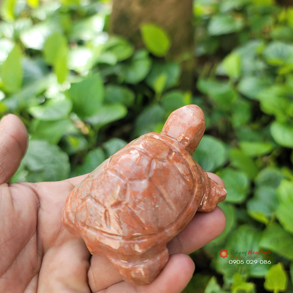 Tượng Rùa đá đỏ 8cm 2 tuong rau da do1