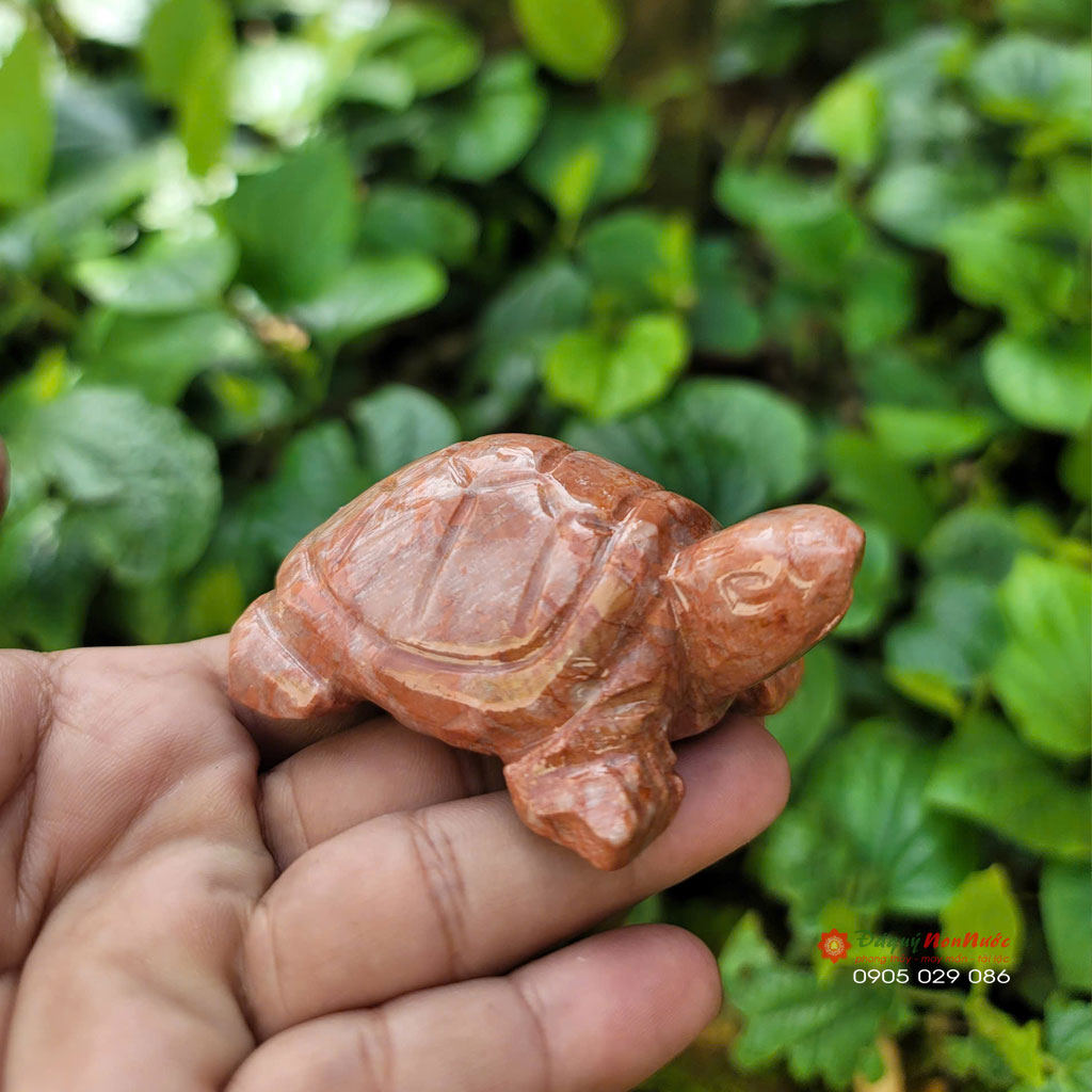 Tượng Rùa đá đỏ 8cm 3 tuong rau da do2