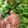 Tượng Rùa đá đỏ 8cm 9 tuong rau da do3