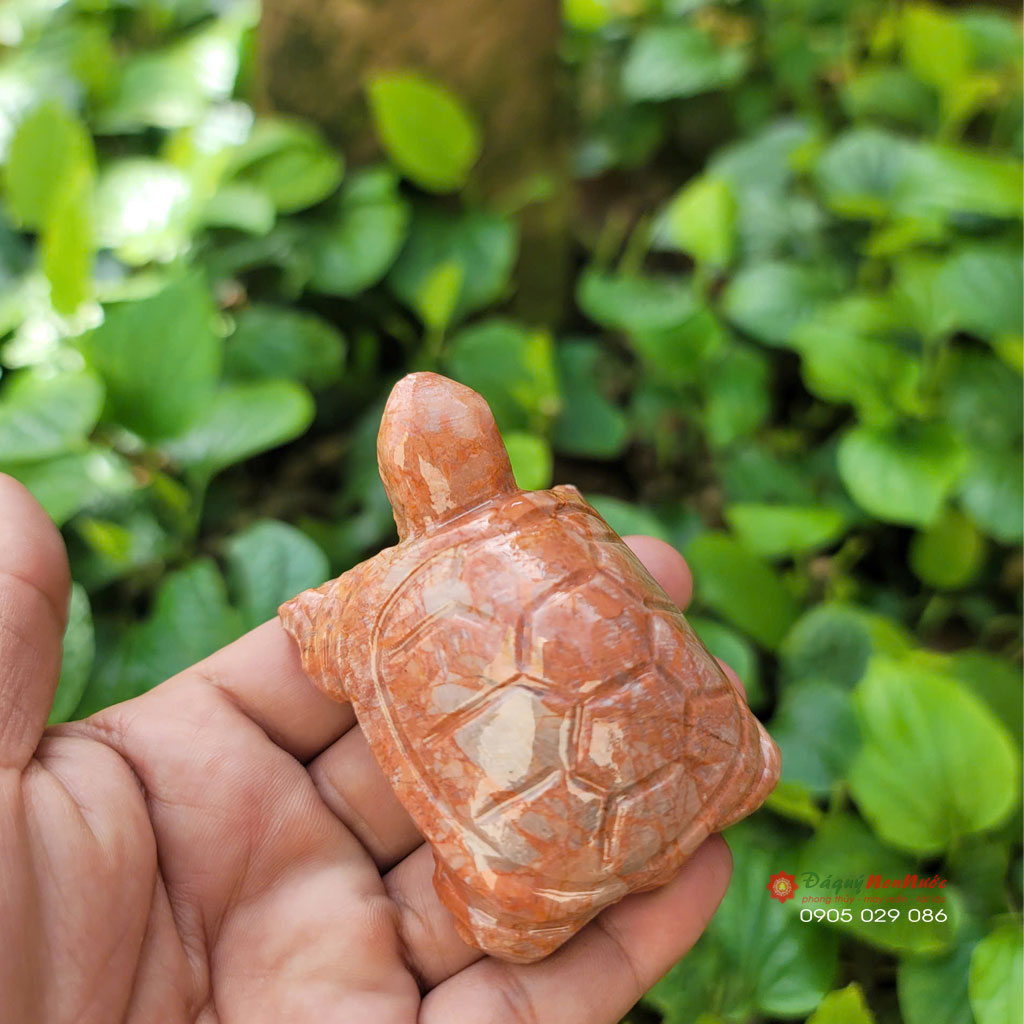 Tượng Rùa đá đỏ 8cm 5 tuong rau da do3