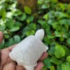 Tượng Rùa đá trắng 8cm 7 tuong rua trang 2