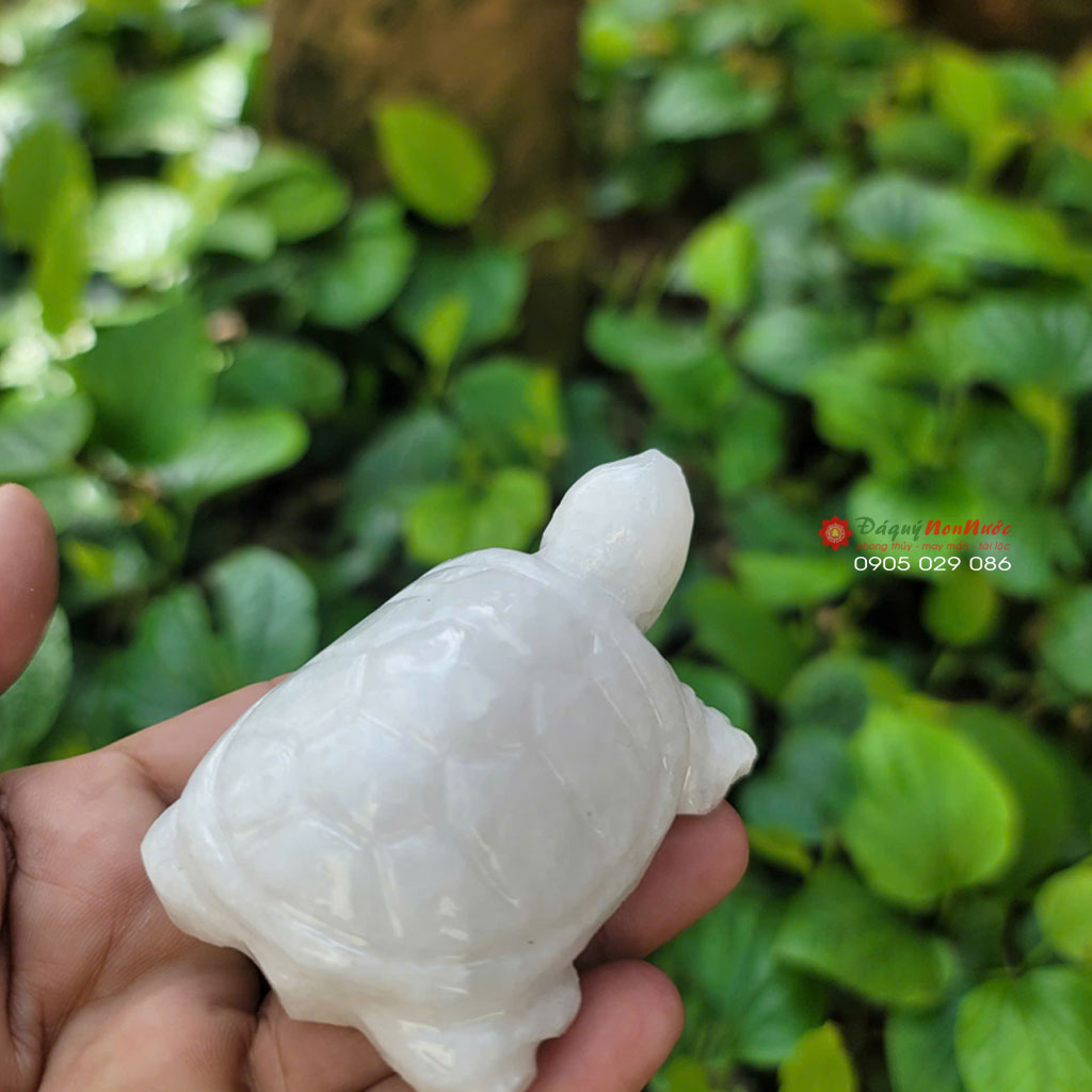 Tượng Rùa đá trắng 8cm 3 tuong rua trang 2
