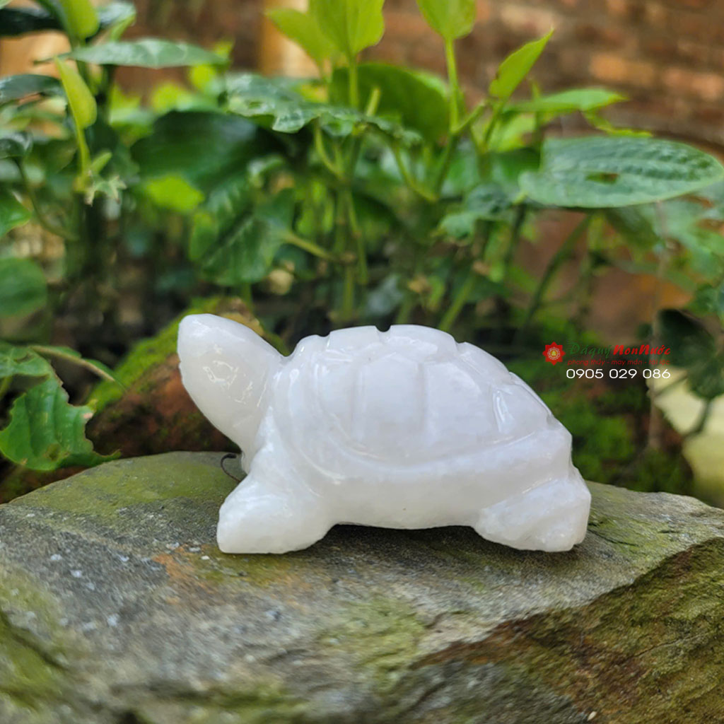 Tượng Rùa đá trắng 8cm 1 Tượng Rùa đá trắng 8cm