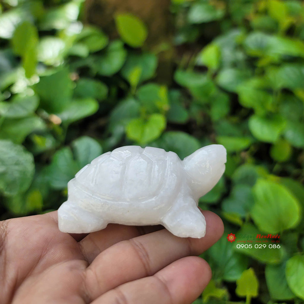 Tượng Rùa đá trắng 8cm 4 tuong rua trang3