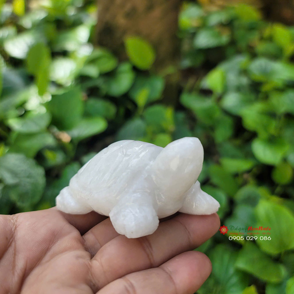 Tượng Rùa đá trắng 8cm 5 tuong rua trang4