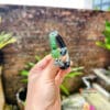 Charm Ngọc Bích mix dây da