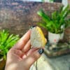Mặt dây chuyền Hồ Điệp 6 ho diep