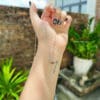 mdc tourmaline