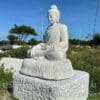 tuong thich ca2