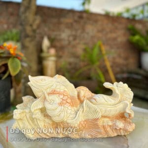 Cá chép bắp cải