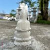 tuong quan am bo tat
