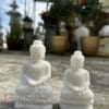 tuong thich ca1
