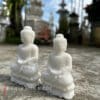 tuong thich ca3